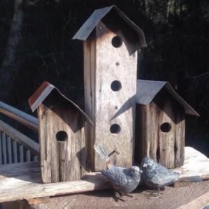 Meet your Posher, Lyn